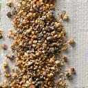 様々な種類の花やハーブの種